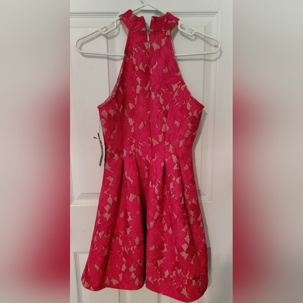 Beautiful Lulu's Pink Lace Dress Women's XS NWT